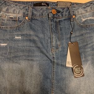 1822 Denim Skirt